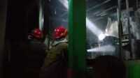 IMG-20260621-WA0258